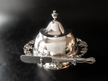Antique Silver Plate Covered Butter Dish Chiller Dome Homan Silver Co Quadruple Plate Butter Dishes