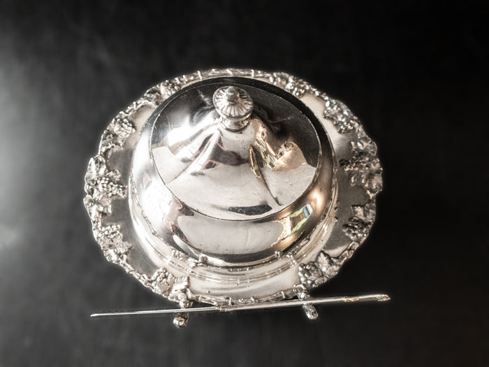Antique Silver Plate Covered Butter Dish Chiller Dome Homan Silver Co Quadruple Plate Butter Dishes