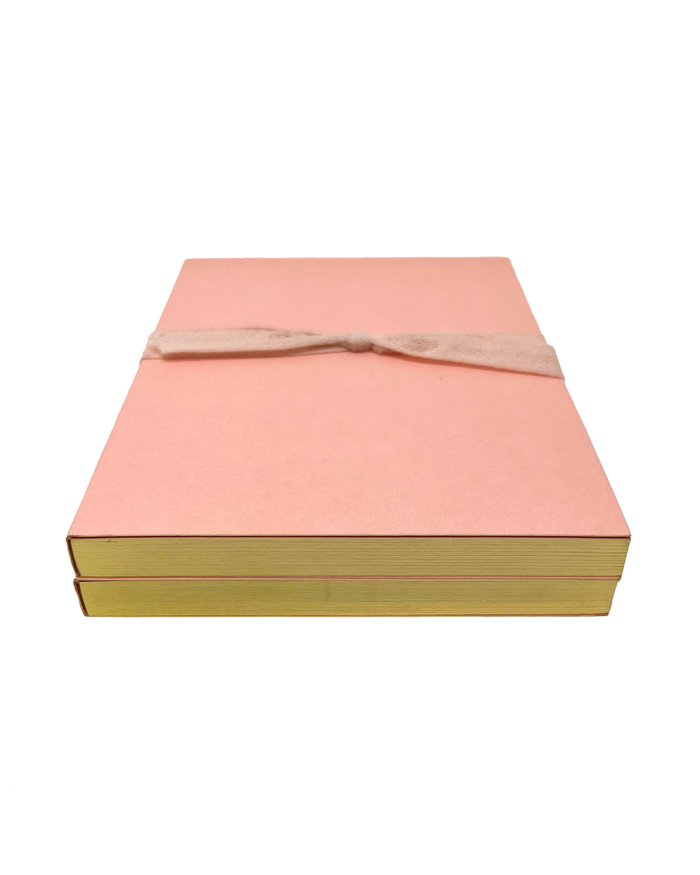 Blush Jotter Notebooks Set of 2