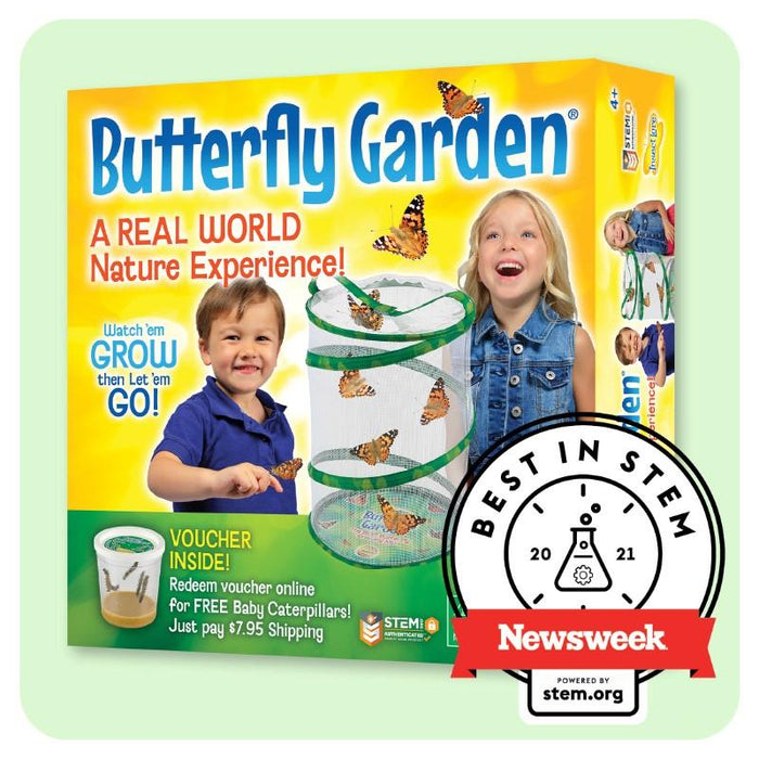 Butterfly Garden