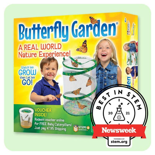 Butterfly Garden