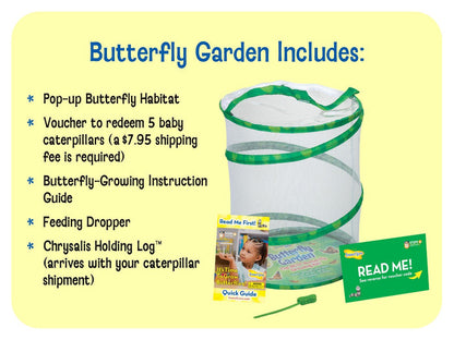 Butterfly Garden