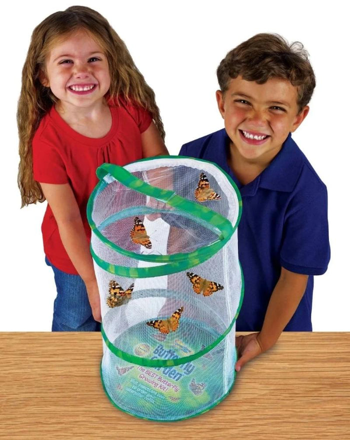 Giant Butterfly Garden
