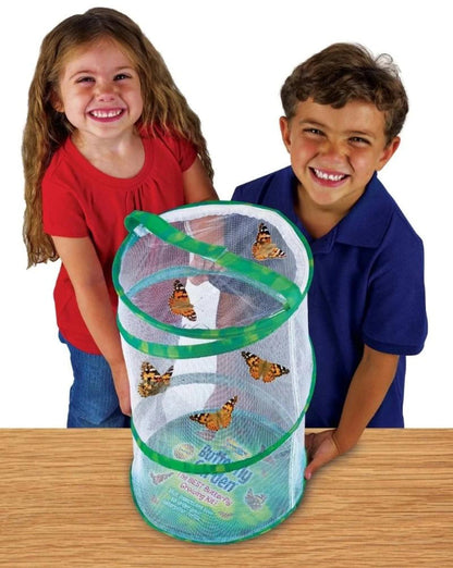 Giant Butterfly Garden