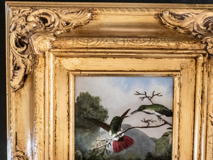 Gilded Framed Oil Painting Hummingbird Black Throated Mango Antique Style Painting