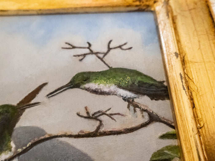 Gilded Framed Oil Painting Hummingbird Black Throated Mango Antique Style Painting