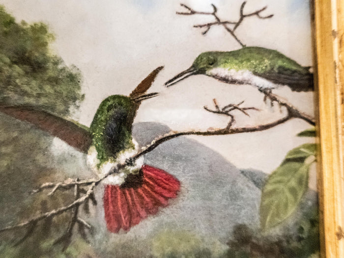 Gilded Framed Oil Painting Hummingbird Black Throated Mango Antique Style Painting