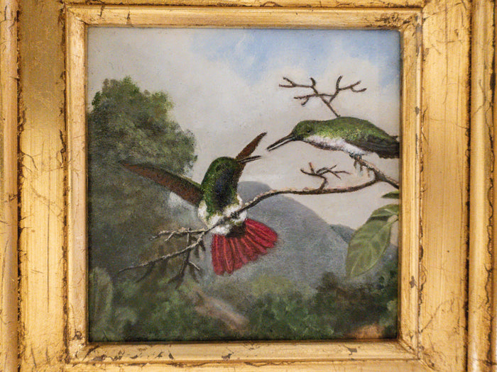 Gilded Framed Oil Painting Hummingbird Black Throated Mango Antique Style Painting