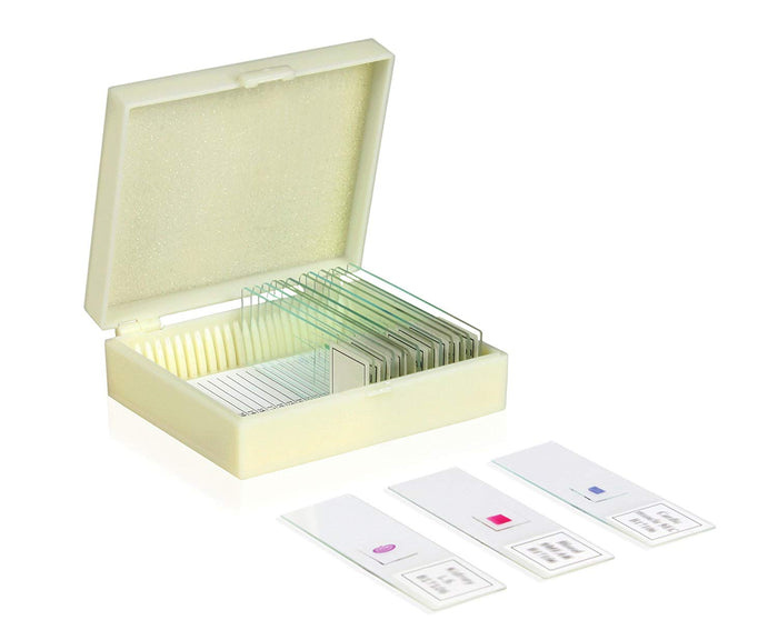 Introductory Biology Slide Set