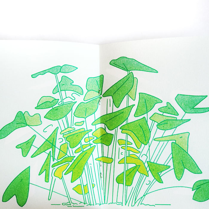 Kati Lacker: Zines