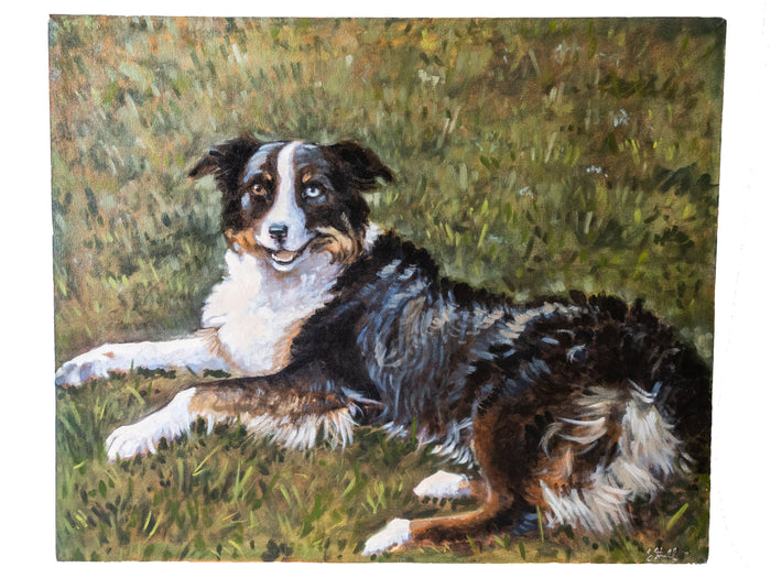 Large Australian Shepherd Dog Portrait Painting 34" x 28" On Canvas Art