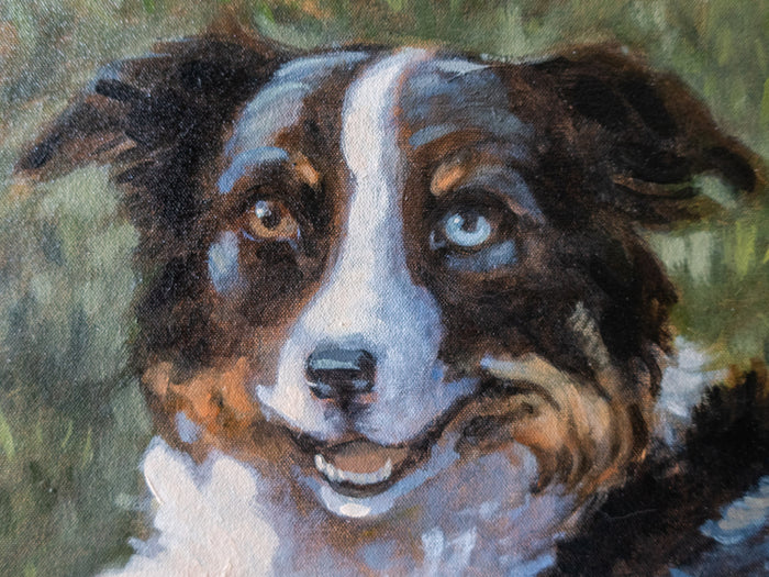 Large Australian Shepherd Dog Portrait Painting 34" x 28" On Canvas Art