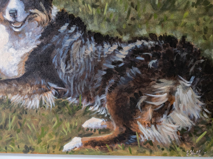 Large Australian Shepherd Dog Portrait Painting 34" x 28" On Canvas Art