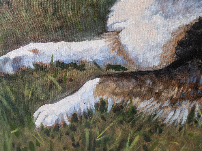 Large Australian Shepherd Dog Portrait Painting 34" x 28" On Canvas Art