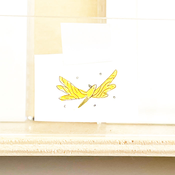 Natalie Andrewson: Bug Café Original Drawings